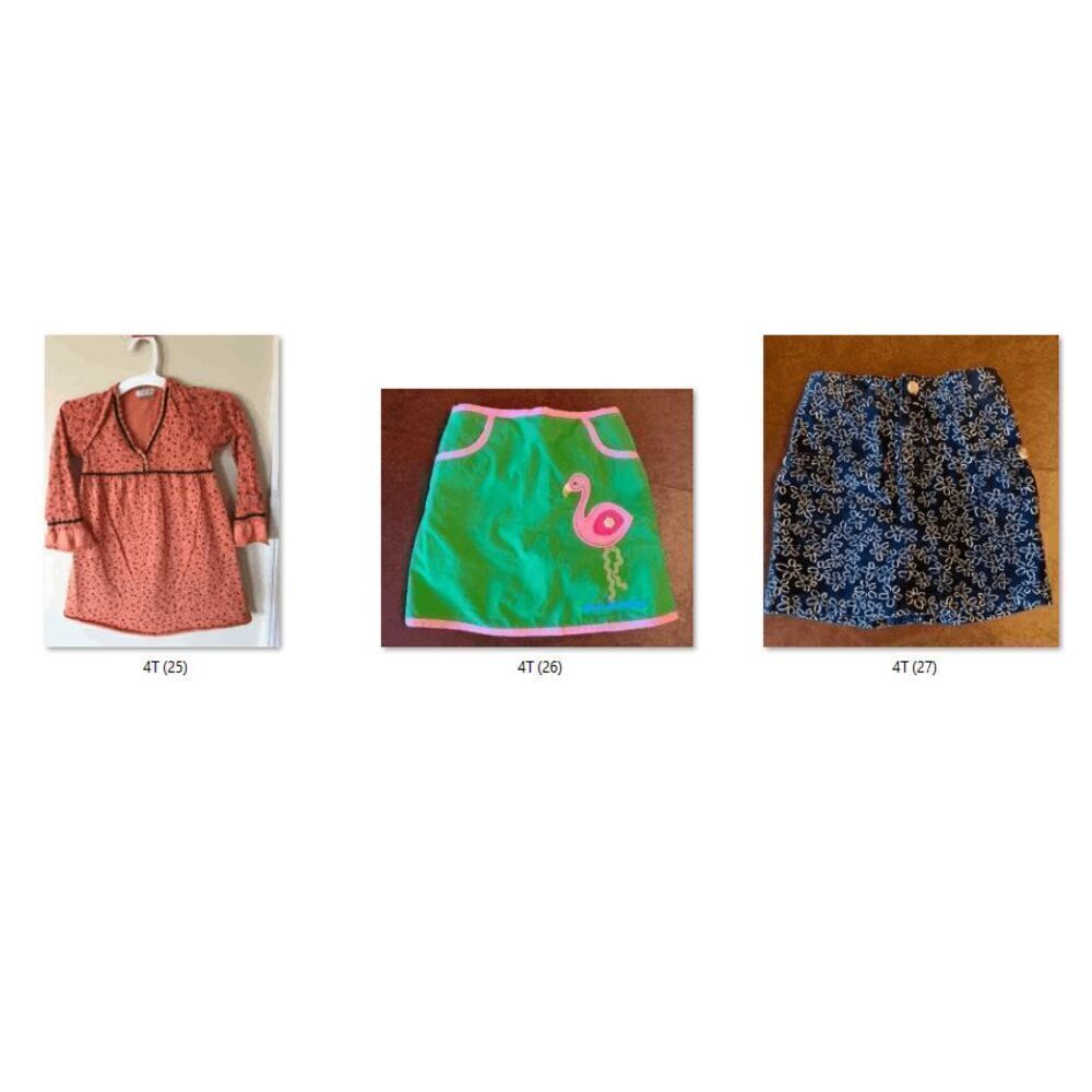 Toddler Girl Fall Winter 4T Mystery Bundle